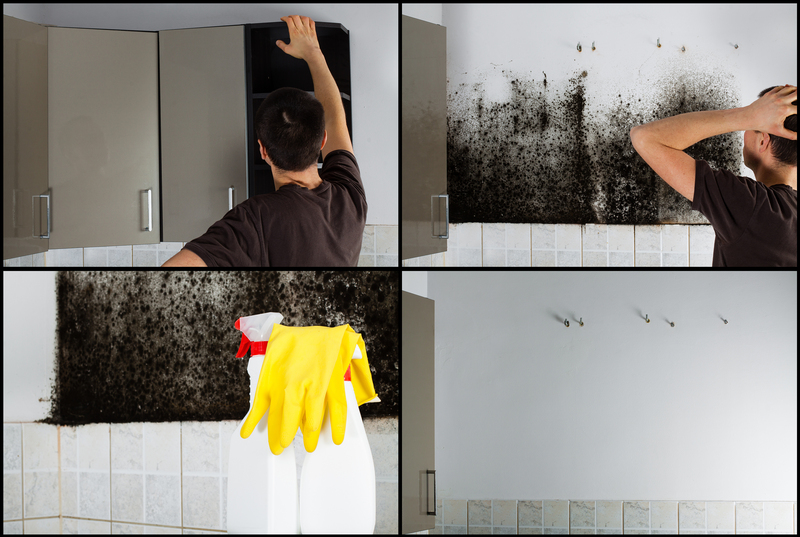 eco-friendly Green cleaning