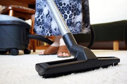 Dry Steam Carpet Cleaning Rental