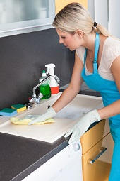 Domestic Cleaning Agencies